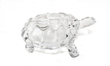 Glass Turtle