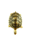 Vastu Turtle