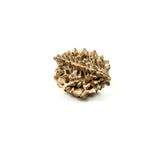 Rudraksha 2 Face