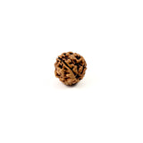 Rudraksha 4 Face