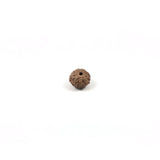 Rudraksha 9 Face