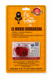 13 Mukhi Rudraksha Red Thread Necklace
