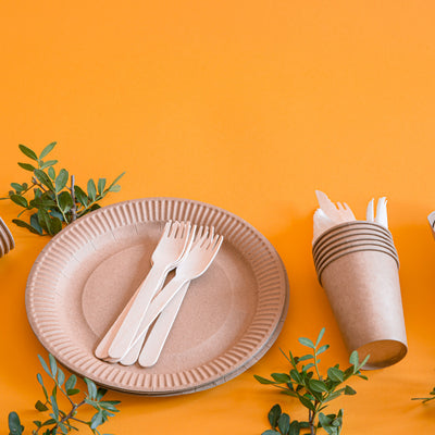 Disposable Tableware