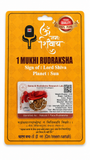 1 Mukhi Rudraksha Red Thread Bracelet