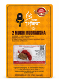 2 Mukhi Rudraksha Red Thread Necklace