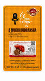 3 Mukhi Rudraksha Red Thread Bracelet