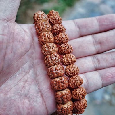 Rudraksha Bracelets