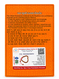 4 Mukhi Rudraksha Bracelet