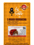 5 Mukhi Rudraksha Red Thread Necklace