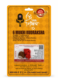 6 Mukhi Rudraksha Red Thread Necklace