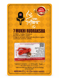 7 Mukhi Rudraksha Red Thread Necklace