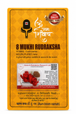 8 Mukhi Rudraksha Red Thread Necklace