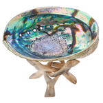 Abalone 6" Shell – Natural Ocean Energy for Clarity & Spiritual Growth