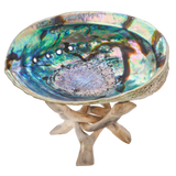Abalone 6" Shell – Natural Ocean Energy for Clarity & Spiritual Growth