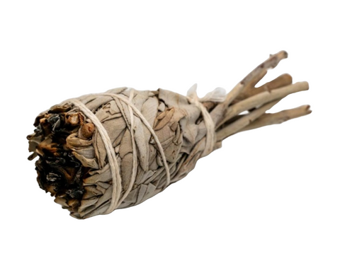 California White Sage Smudge Torch 3-4"