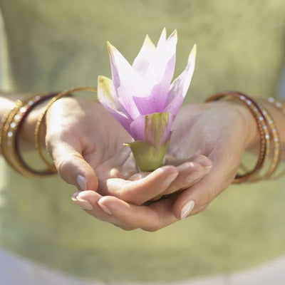 Puja Leaves