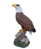 Sitting Eagle Statue