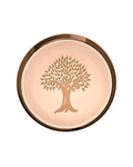 100% Pure Kansa Thali