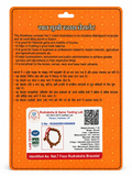 7 Mukhi Rudraksha Bracelet