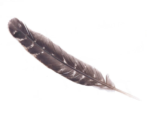 Smudge Feather