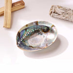 Abalone 6" Shell – Natural Ocean Energy for Clarity & Spiritual Growth