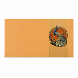 Shagun Gift Envelopes - Money Envelopes (10 Pack)