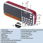 Multifunctional Digital MP3 Radio Speak L-088AM ( 500+ bhajans, mantra, artyaa, geeta chalisa)