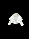 Vastu Turtle