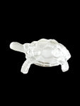 Vastu Turtle