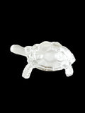 Vastu Turtle