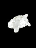 Vastu Turtle