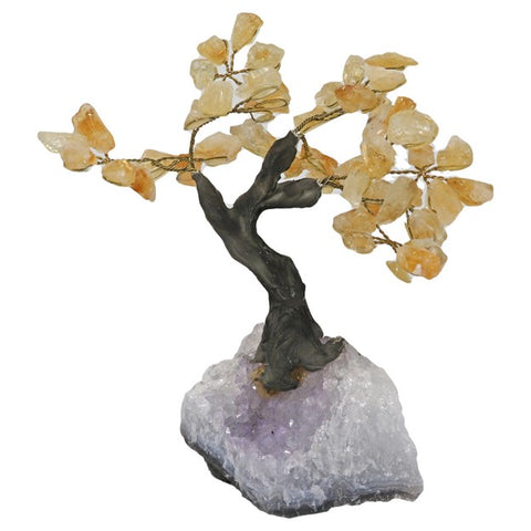 Small Bonsai Tree: Citrine