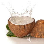 Coconut with water
